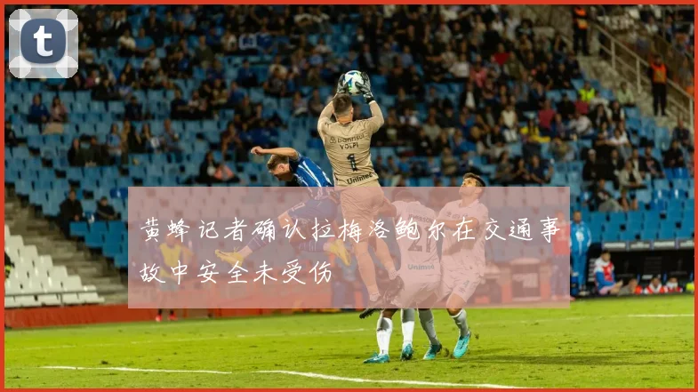 黄蜂记者确认拉梅洛鲍尔在交通事故中安全未受伤