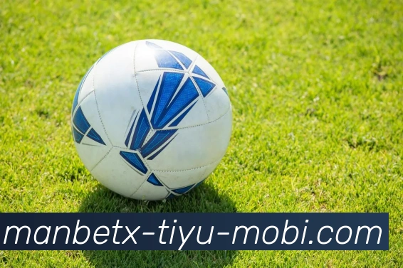 万博体育APP 封面图