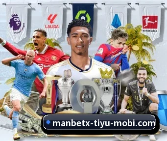 万博体育 APP（ManBetX）